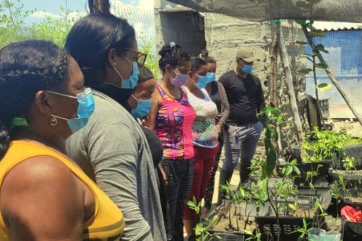 Mujeres de la comunidad cuidando una huerta